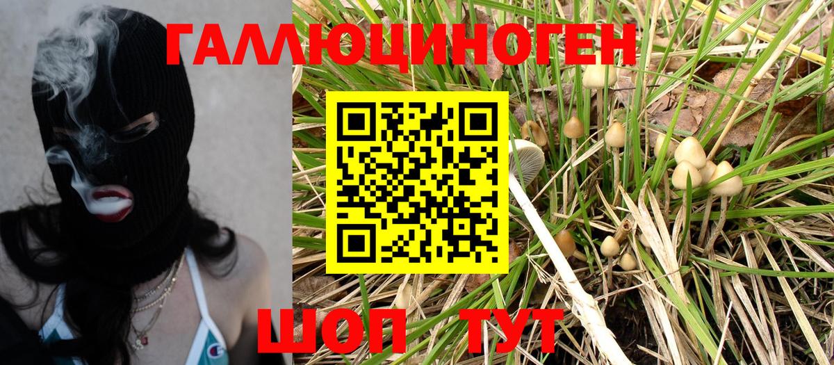 Галлюциногенные грибы мухоморы  Вход с VPN  Урюпинск 